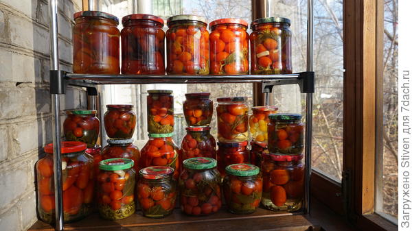 Помидорки закусочные