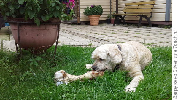 Давайте всегда радовать своих меньших гостинцами