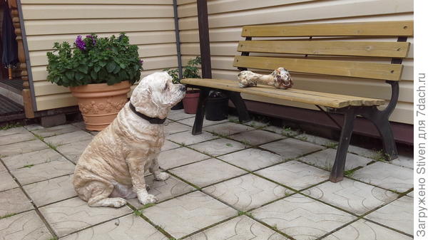 Пусть самое вкусное - будет им