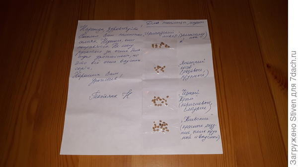 Семена