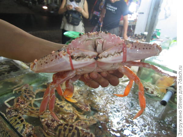 Удалось попробовать настоящего краба