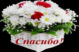 Спасибо за всё