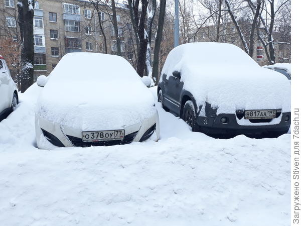Наш двор