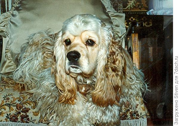 Поль был главный в семье - лидер, характер не простой