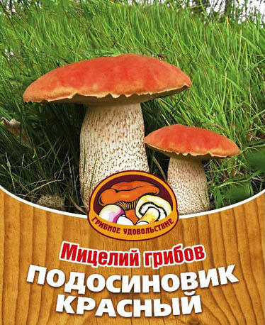 Буду экспериментировать, хотца подосиновиков со своего огорода!!