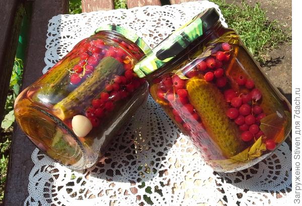 Спасибо Света за рецептик!