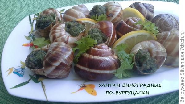 Улитки в соусе - деликатес!