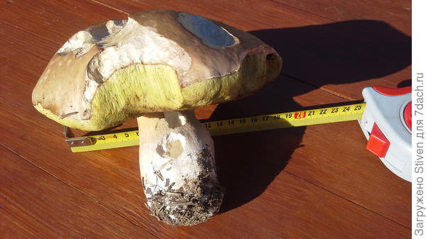 А вот надо было бы еще взвесить