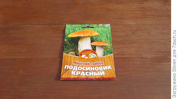 Споры подосиновика