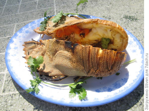 Все съедается, остается только панцирь