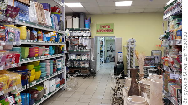 Прошлась по магазину