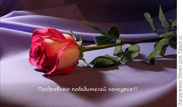 Молодцы девчата!!!