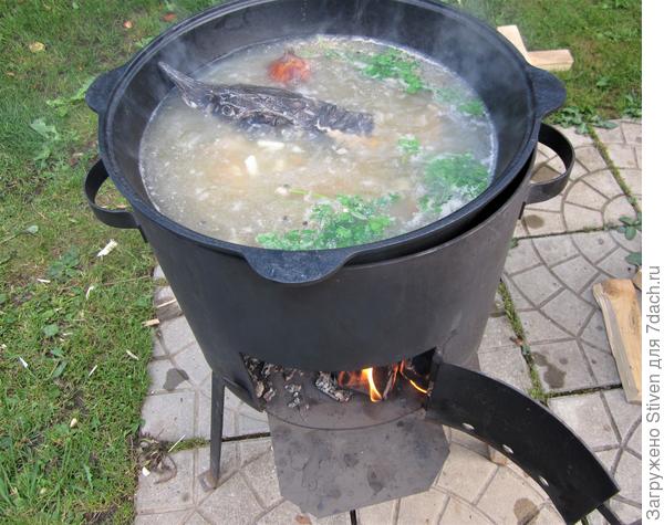 Уха из суповых частей осетра