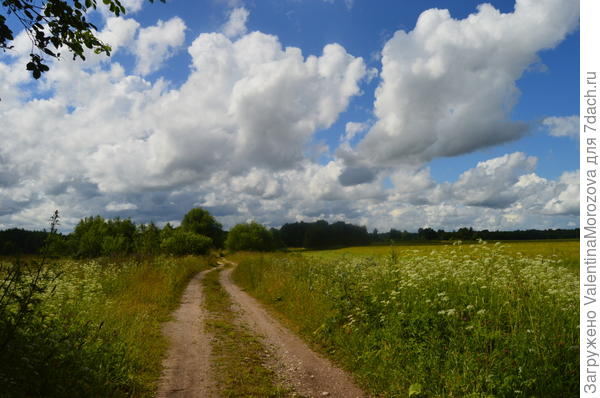 Просёлочная дорога