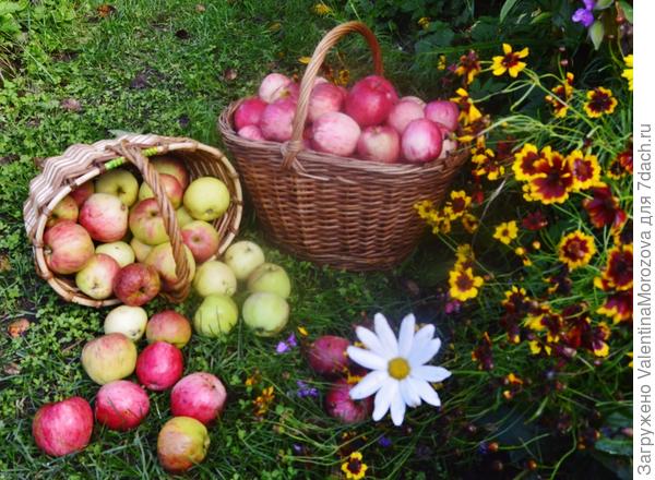 Осень дарит всем прекрасные подарки!