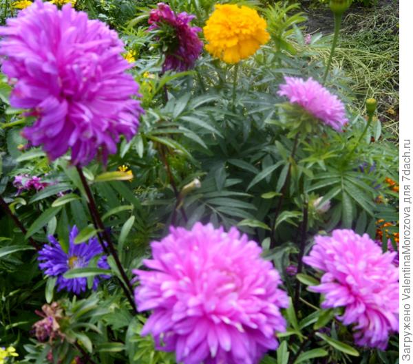 Сами выросли.