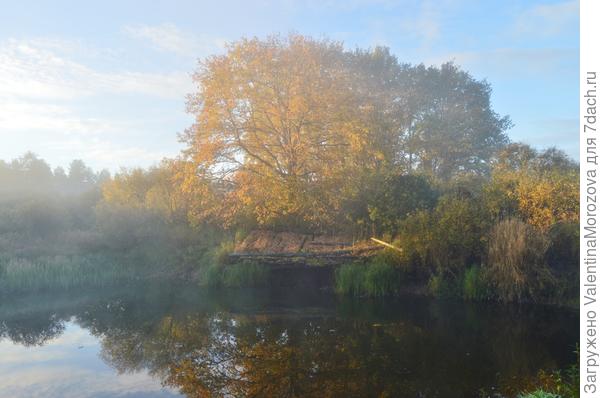 Ой туманы,мои вы туманы.