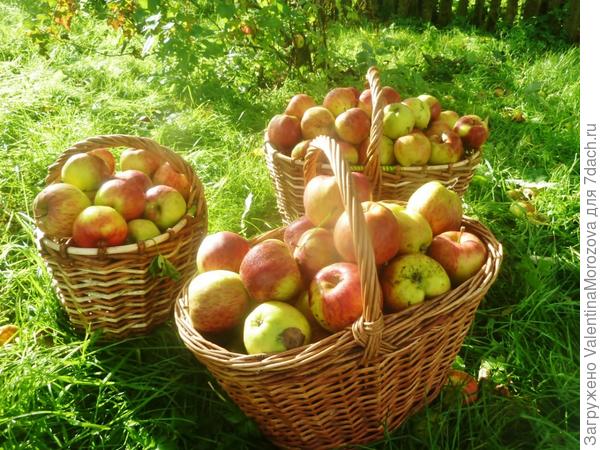 После  сильного ветра