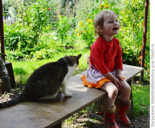 Как их не любить?