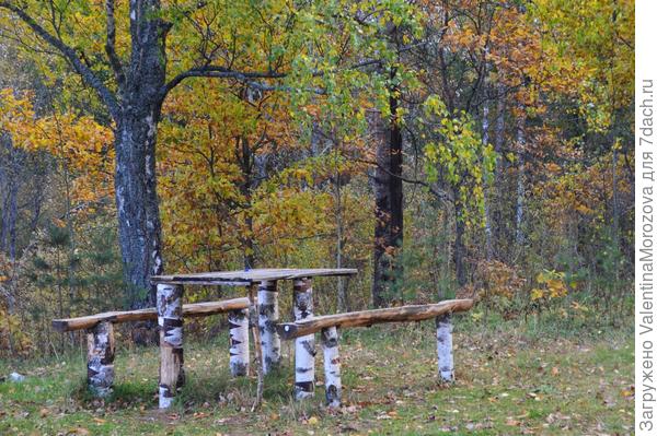 На опушке леса,.люблю здесь гулять Река лес,сосны и берёзы,а рядом ягоды и грибочки,птички и зверушки.