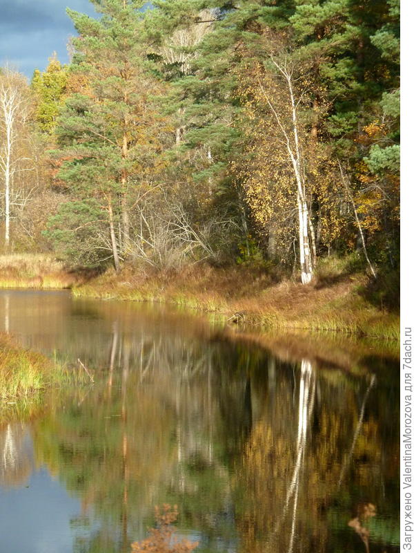 У  нас река и лес рядом.