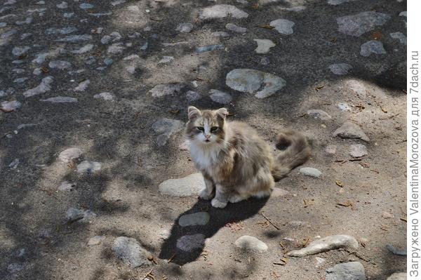 Это я - охранник