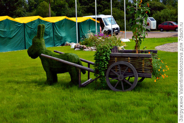 Вот такой ослик в нашей деревне