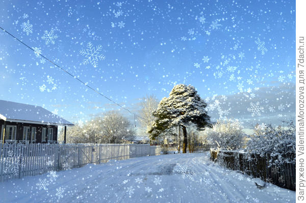 У нас красиво сегодня.-2.Декабрь опять тёплый.