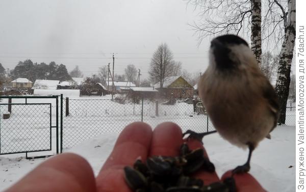 Вот какой я храбрый!