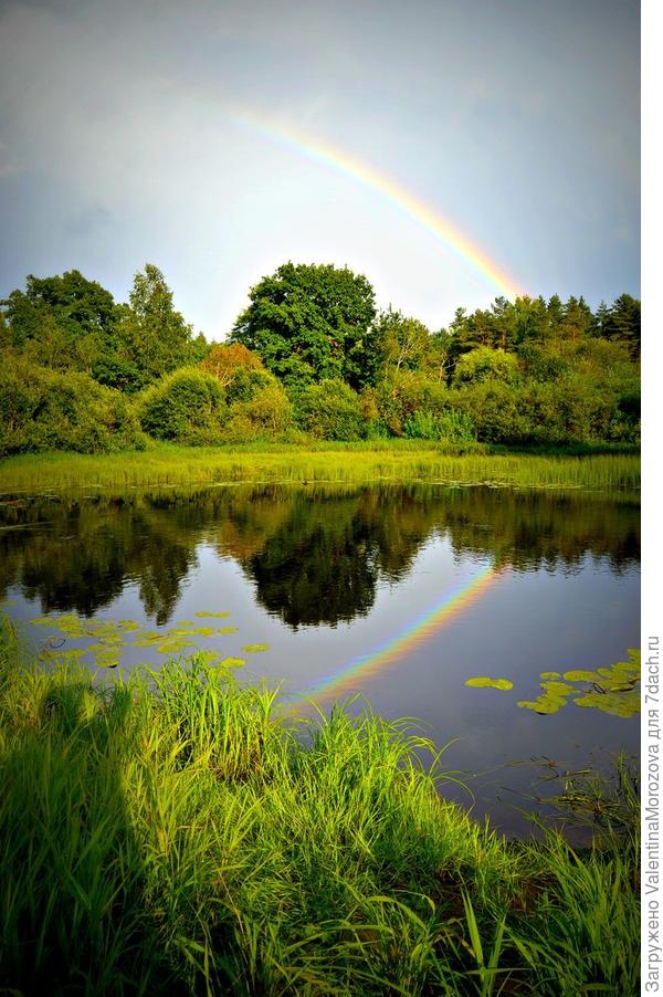 А это прошлогоднее фото