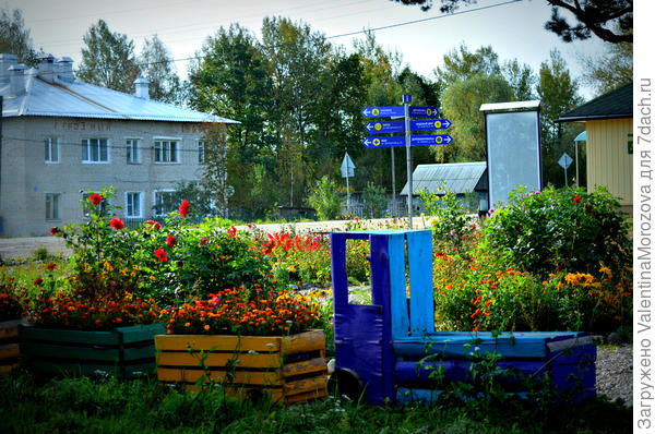 паровозик с бархатцами