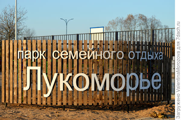 Наш дуб со скамейкой и цепь на дубе том  ,и кот учёный.