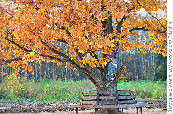 Наш парк открылся