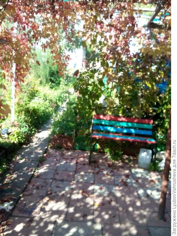 зона отдыха возле дома