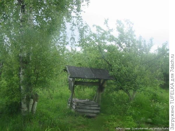 Дача. Июнь 2008