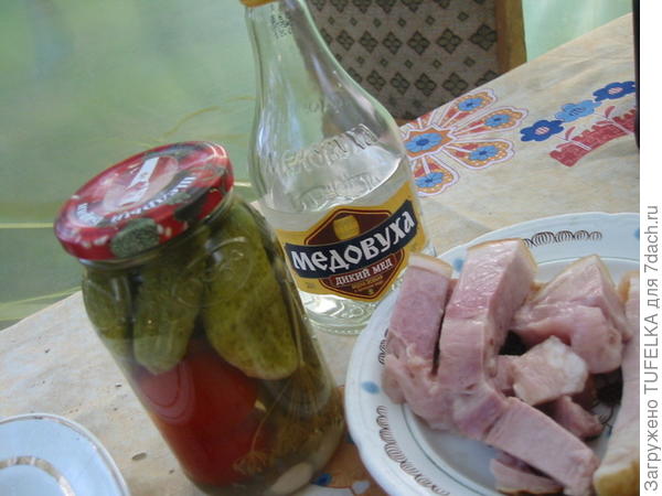 Дача 2008. Сентябрь
