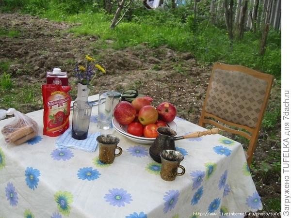 Дача. Июнь 2008