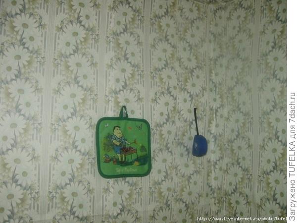 Дача. Июнь 2008