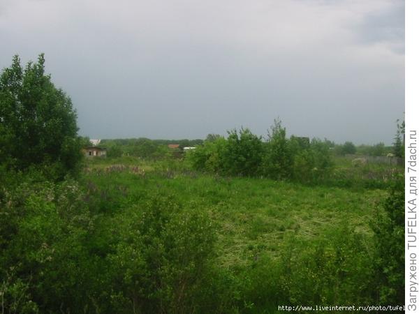 Дача. Июнь 2008