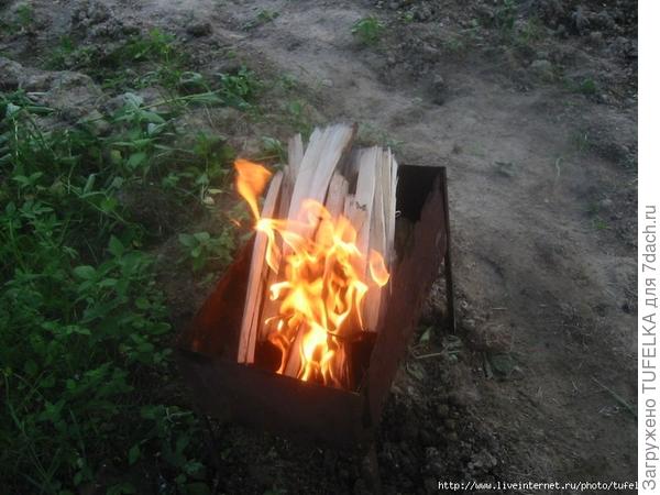 Дача 2008. Июнь.