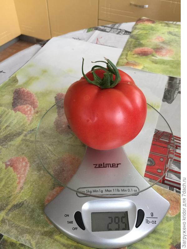 малиновое чудо, взвешивание