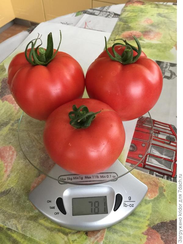 малиновое чудо, взвешивание