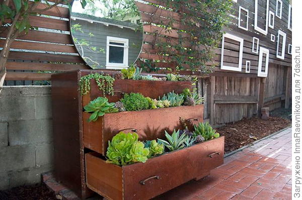 фото из интернета