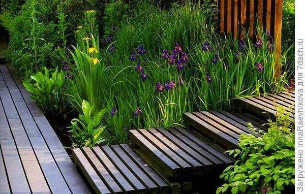 из интернета