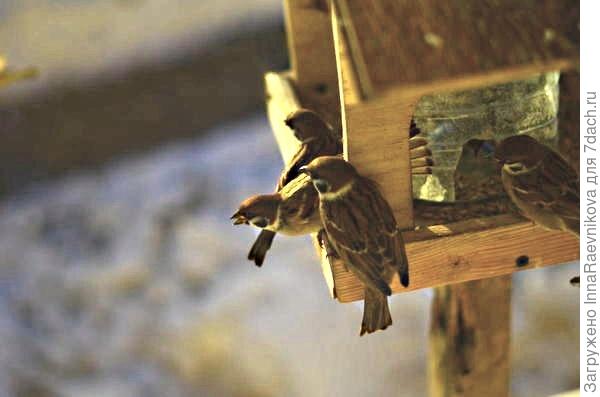 почти правильные