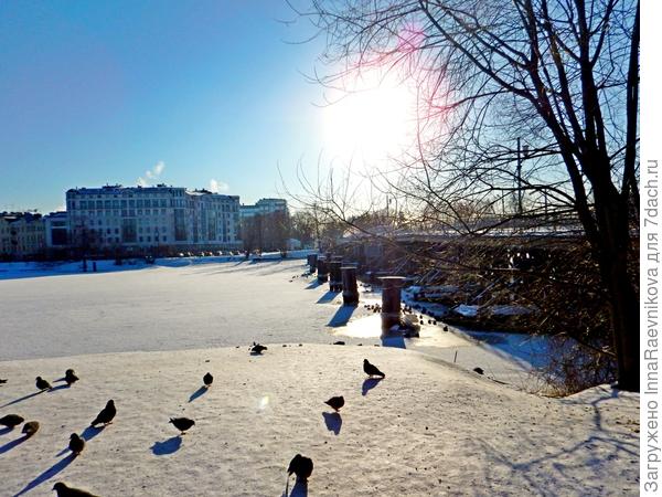 Несмотря на мороз, даже птицы в приподнятом настроении))