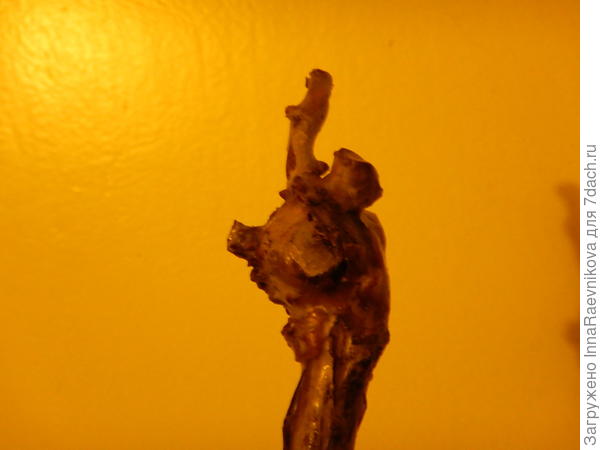 макушка залита воском