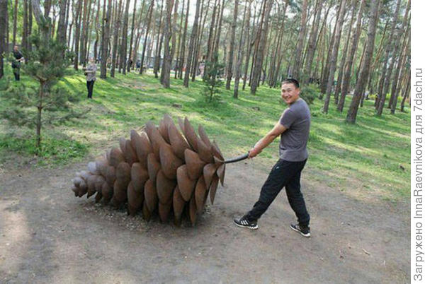 шишки разные бывают, и такие тоже)))