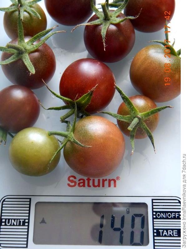 140 гр