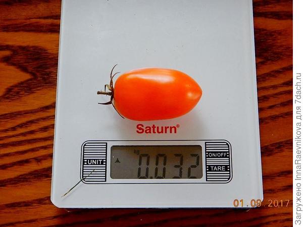 32 гр